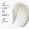Picture of The Ordinary Squalane + Amino Acids Lip Balm