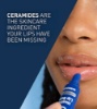 Picture of Cerave Healing Lip Balm (10gm)